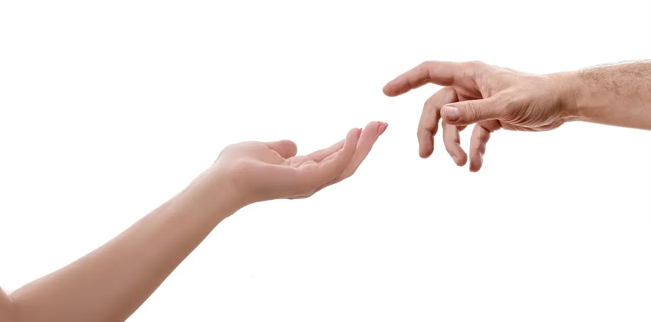 Before Words: Gesture, Calls, and Shared Attention (Image Credits: Pixabay)