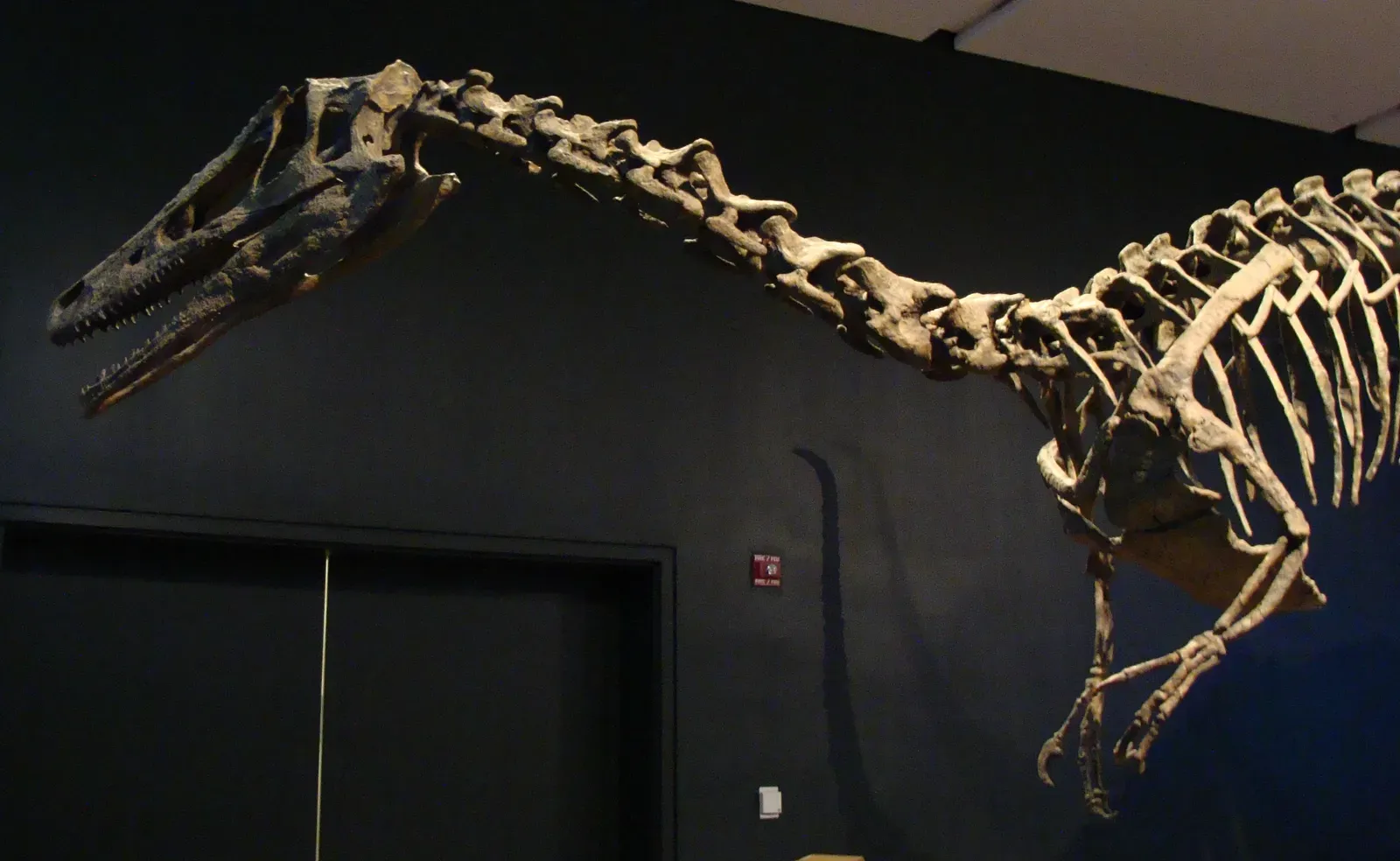 7. A Reminder That Dinosaur History Is Still Full of Surprises (By Esv, CC BY-SA 3.0)