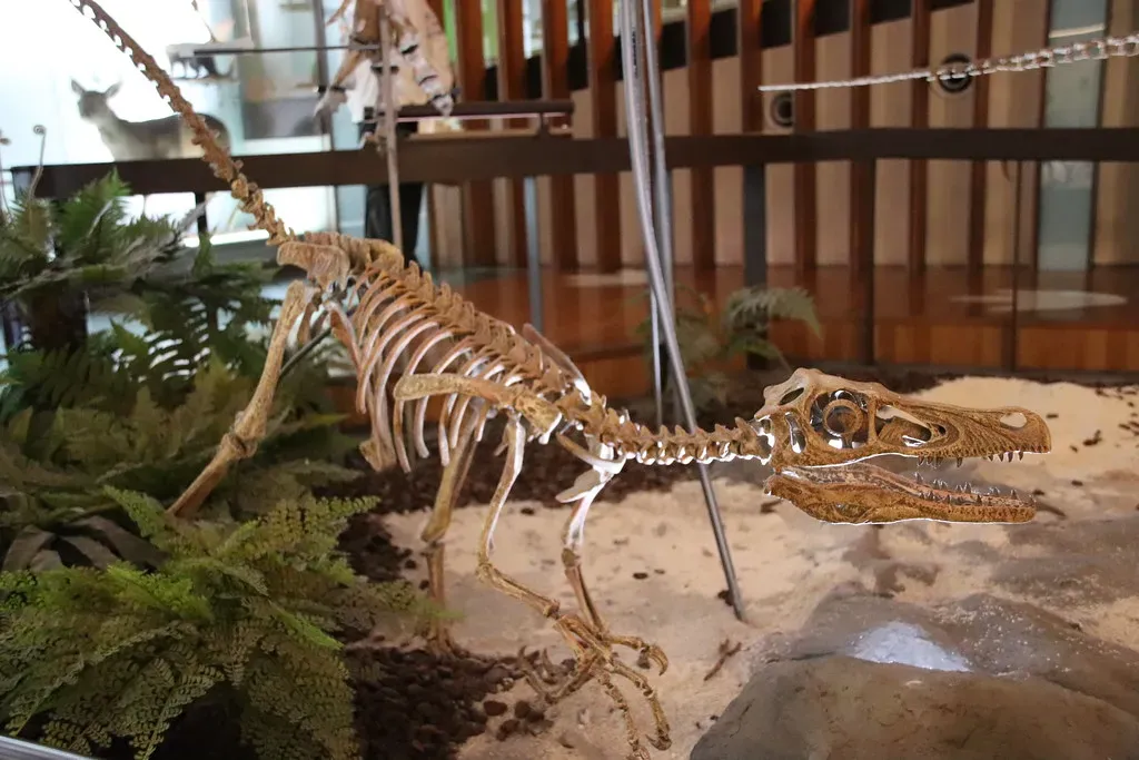 Washington State: The Thirty-Seventh State Joins the Club (Image Credits: Flickr)