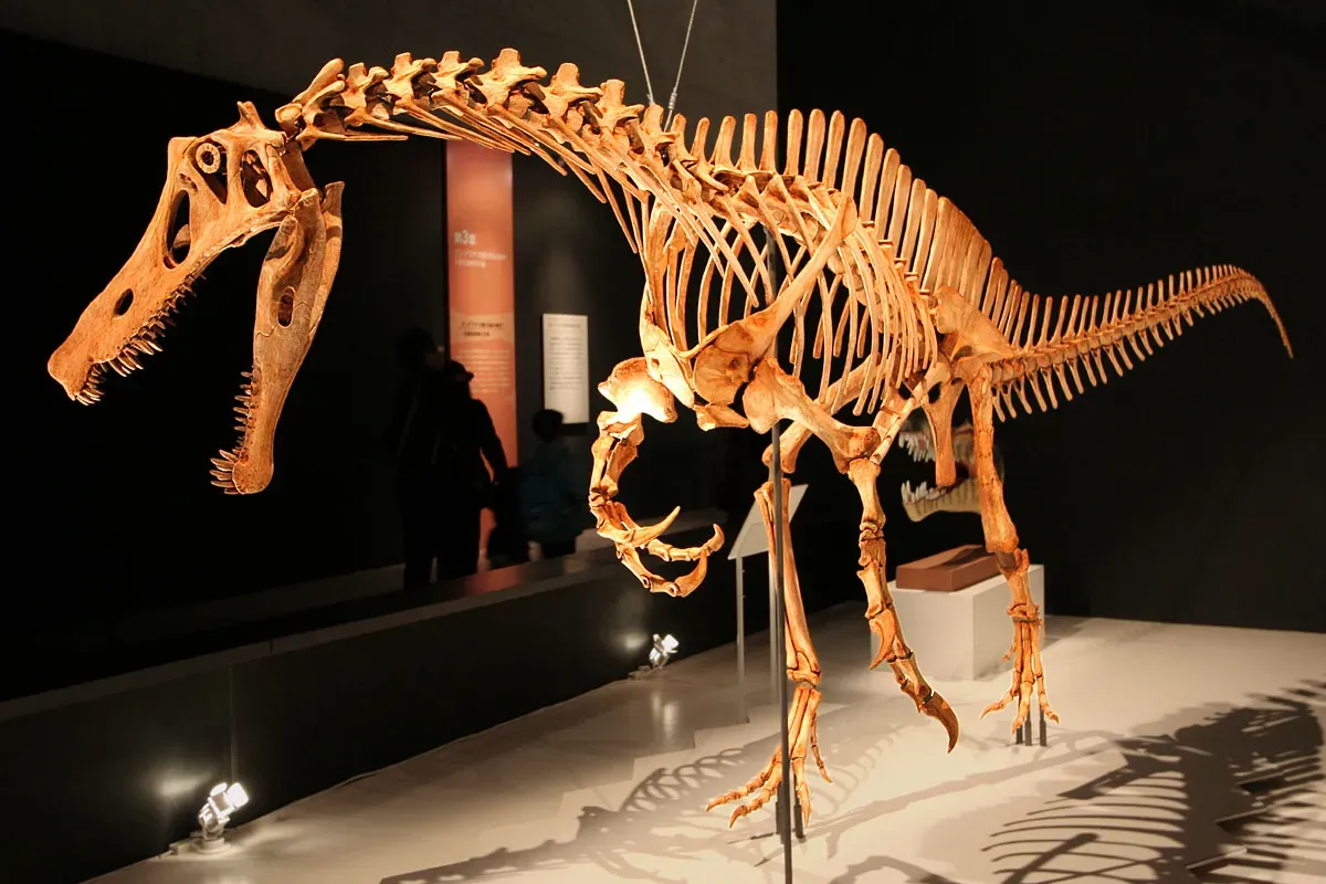 Life in the Santana Seas: Irritator’s Ancient Habitat (Angaturama - 01Uploaded by FunkMonk, CC BY 2.0)