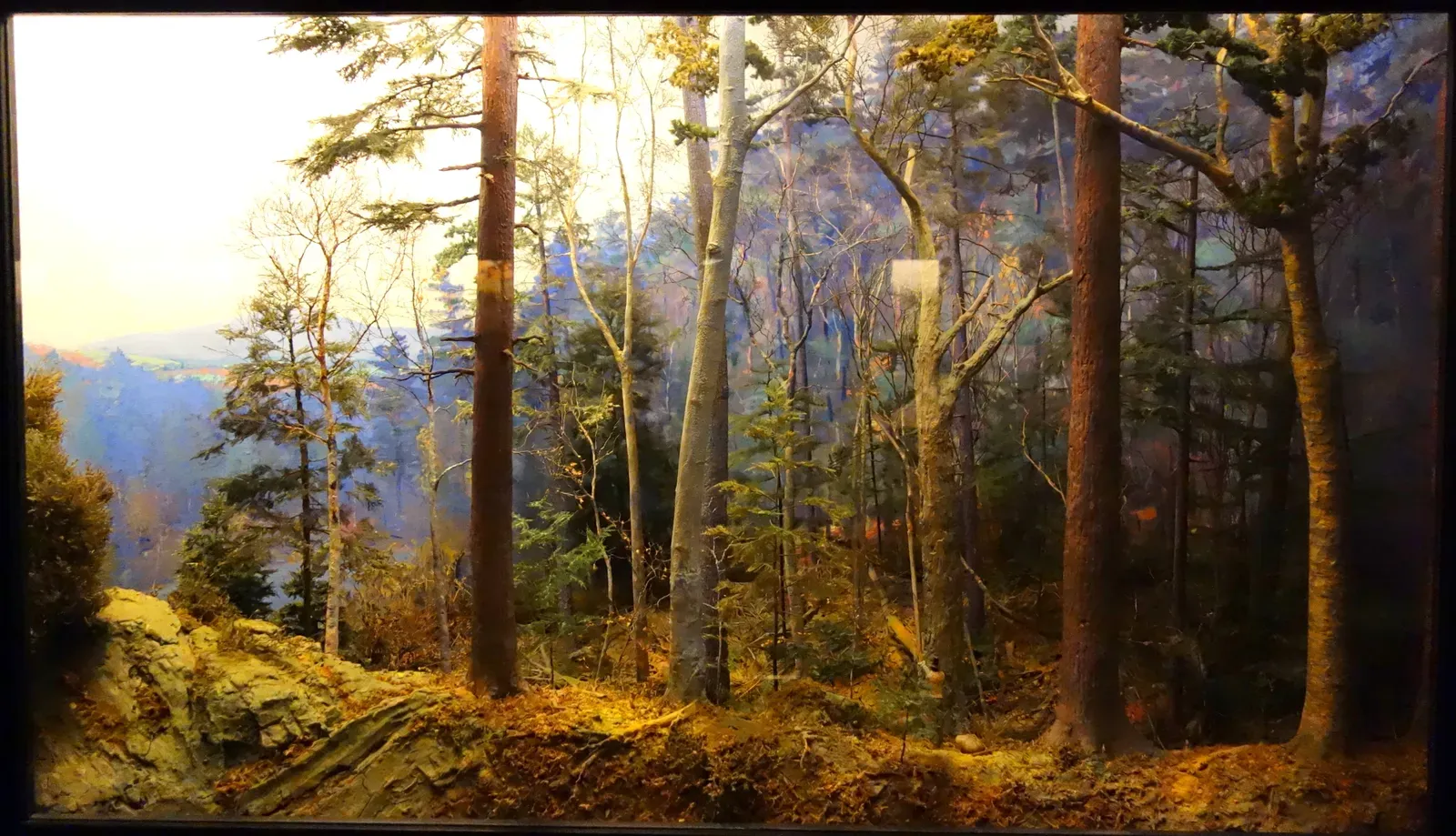 The Forests Europeans Never Saw (Image Credits: Wikimedia)