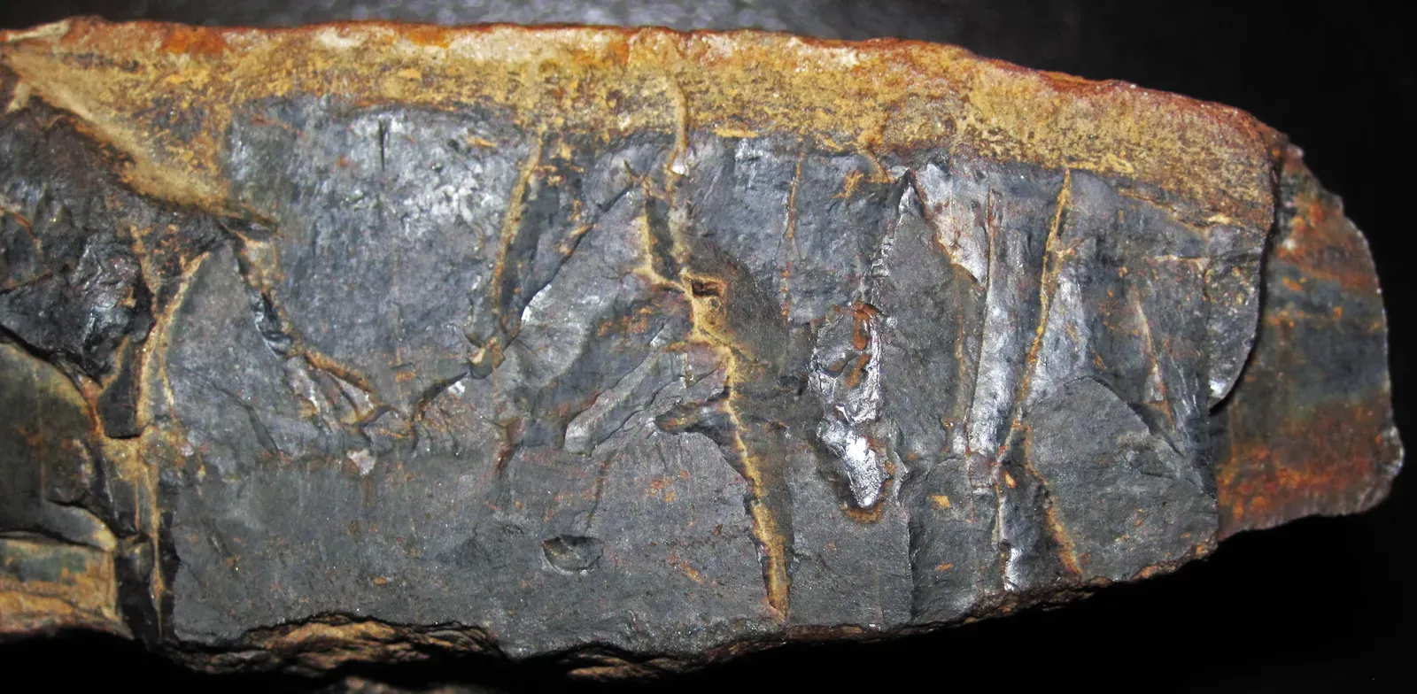 5. The Gunflint Chert Microfossils, Ontario, Canada (Gunflint Chert (Paleoproterozoic, ~1.878 Ga; near Port Arthur, Ontario, Canada) 2, CC BY 2.0)