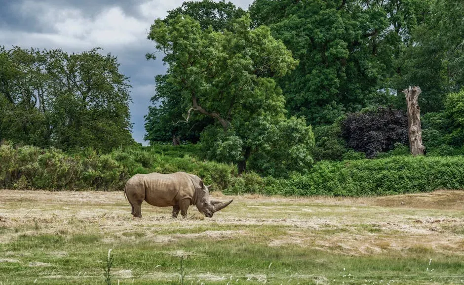Lessons for Today: Rewilding and the Return of Ecological Giants (Image Credits: Pexels)