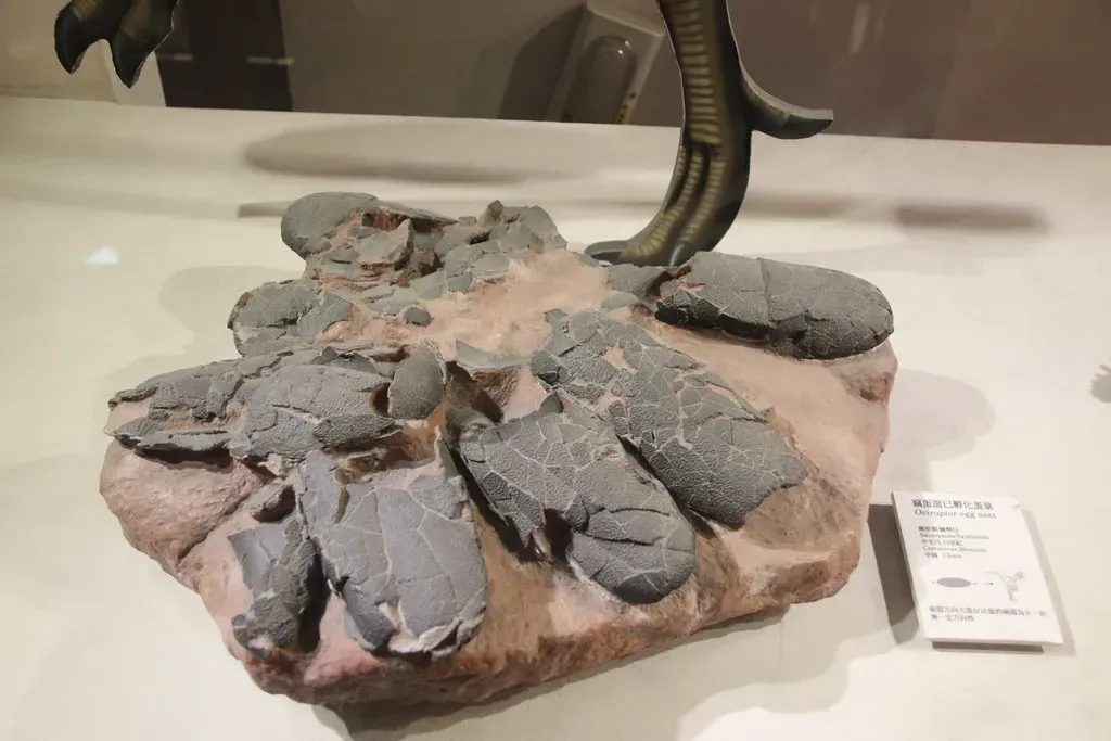 Oviraptor: The Unfair Reputation of a Devoted Parent (Image Credits: Flickr)