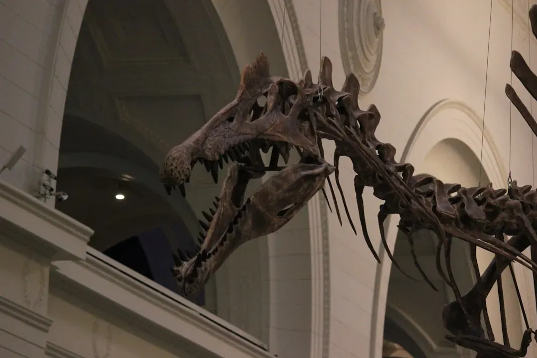 2. It was first mistaken for a giant flying reptile (Image Credits: Unsplash)