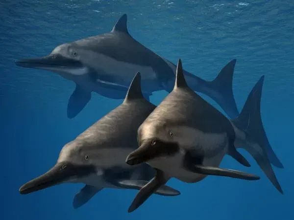 Ichthyosaurs: The Dolphin-Shaped Giants (Image Credits: Wikimedia)