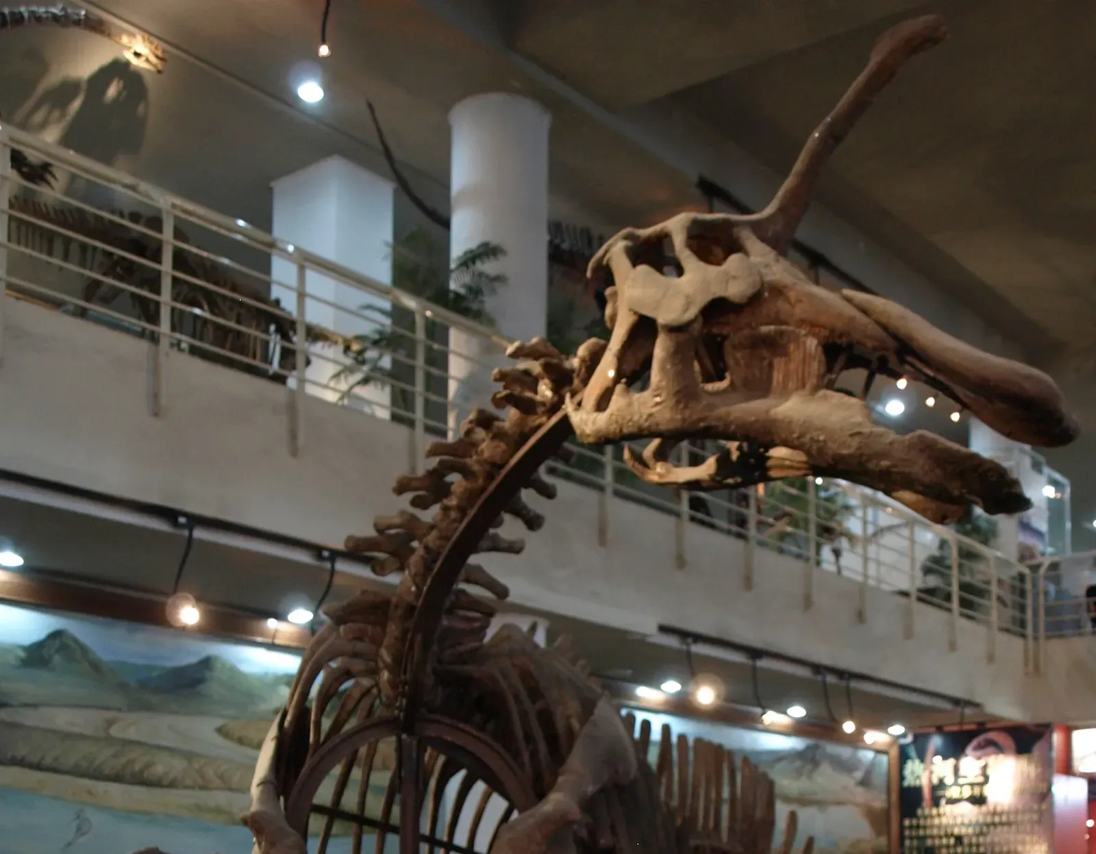 #14 - The Magdeburg Unicorn: Real Fossils, Fake Animal (Image Credits: Wikimedia)