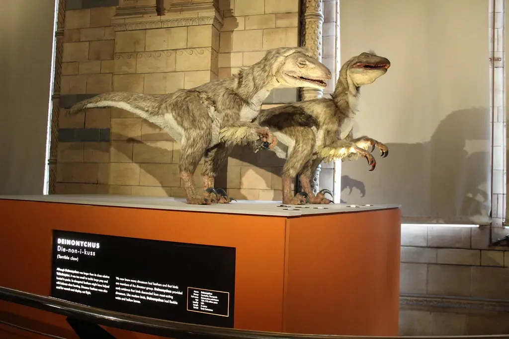 3. Feathers That Did Far More Than Keep Them Warm (Image Credits: Flickr)