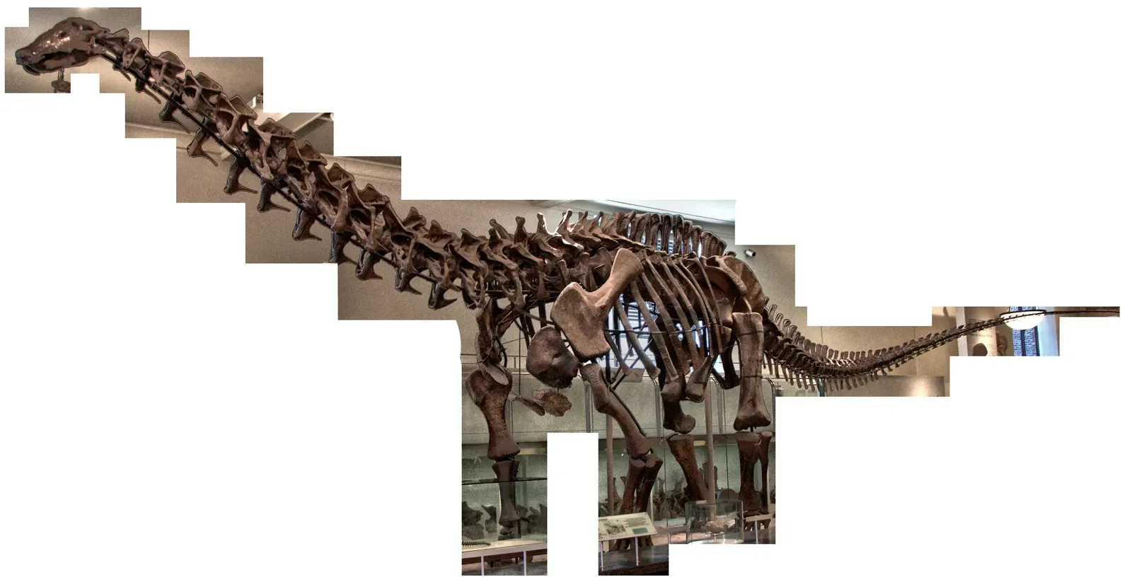 The Mistake Gets Spotted, But Nobody Listens (By User:ScottRobertAnselmo, CC BY-SA 3.0)