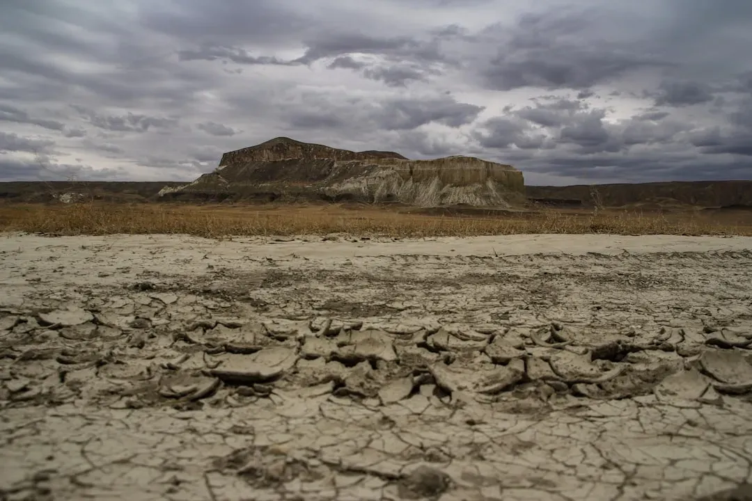 A World Rising from the Ashes: The Aftermath of Mass Extinction (Image Credits: Unsplash)