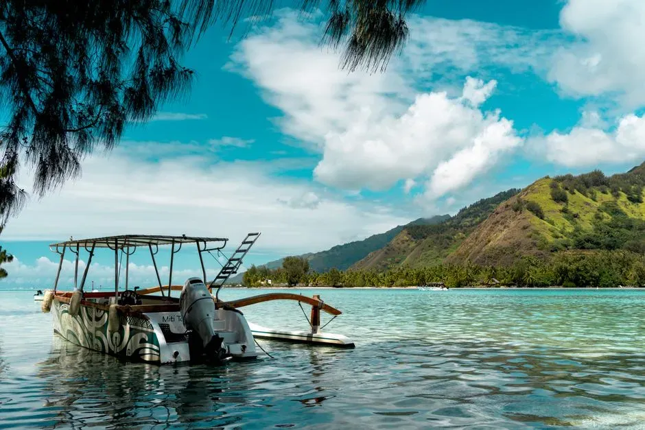 #9 - Early Seafaring Navigation by Environmental Cues (Image Credits: Pexels)