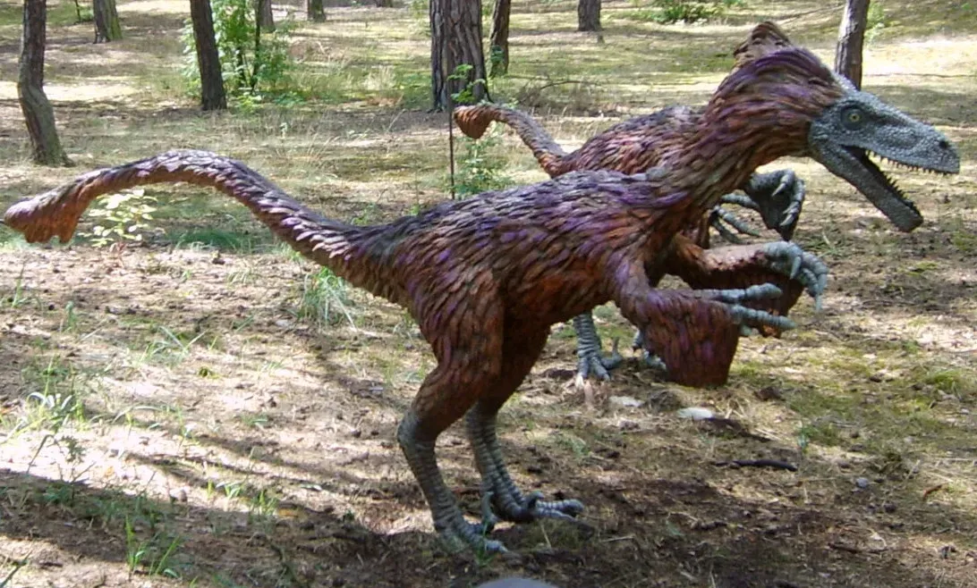 #6 - Bone Texture Links Feathers and Flight Experiments to Dinosaur Limbs (By CLI, CC BY-SA 4.0)