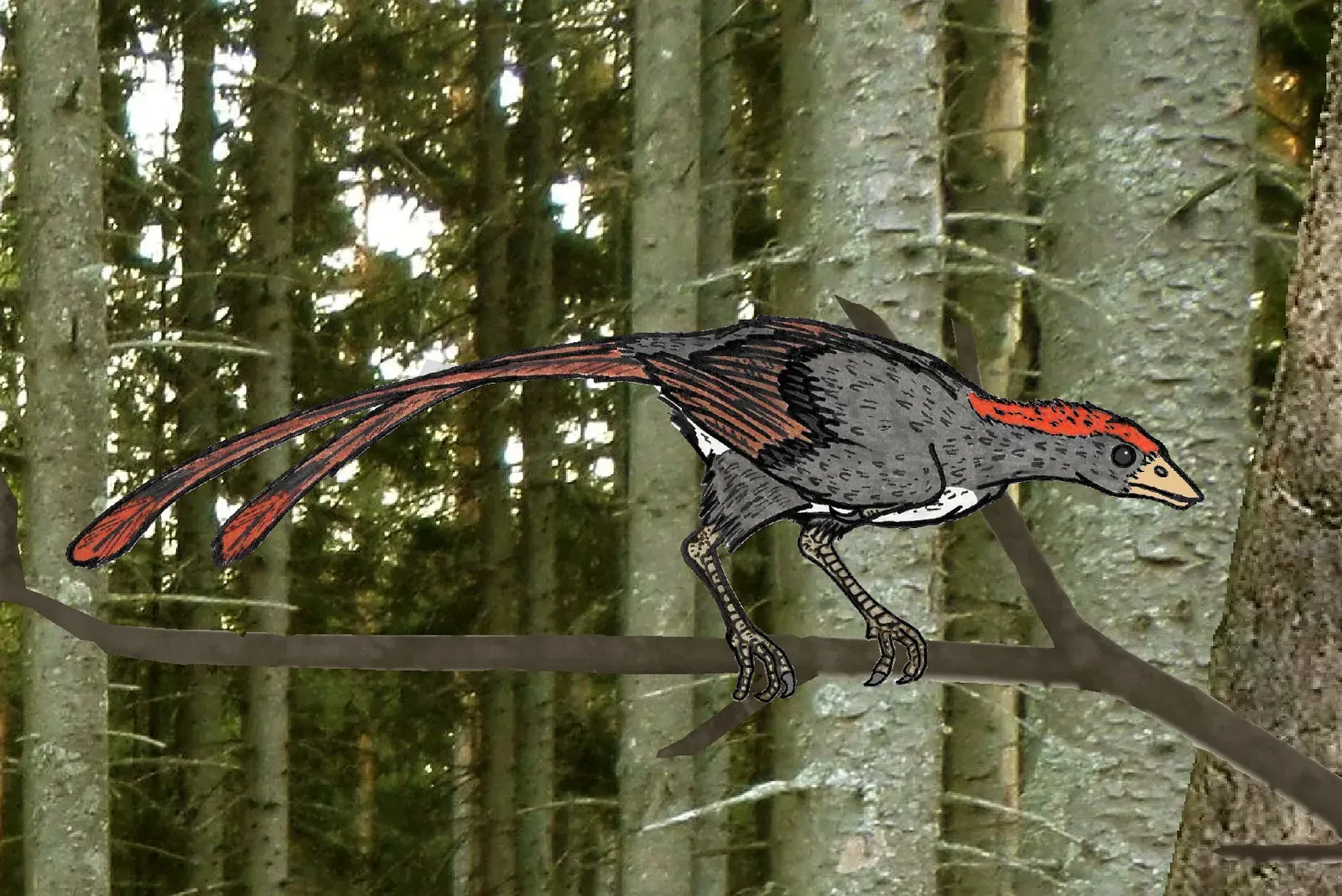 Confuciusornis: The Speckled Aviator (Image Credits: Wikimedia)