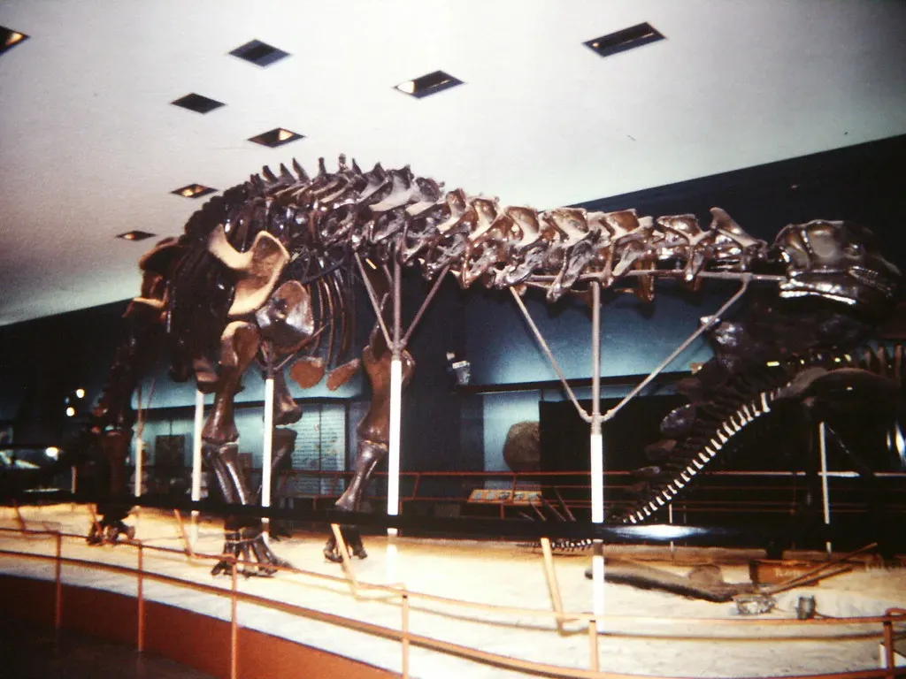 8. Brontosaurus Lives Again: A Name Resurrected by Data (Image Credits: Flickr)