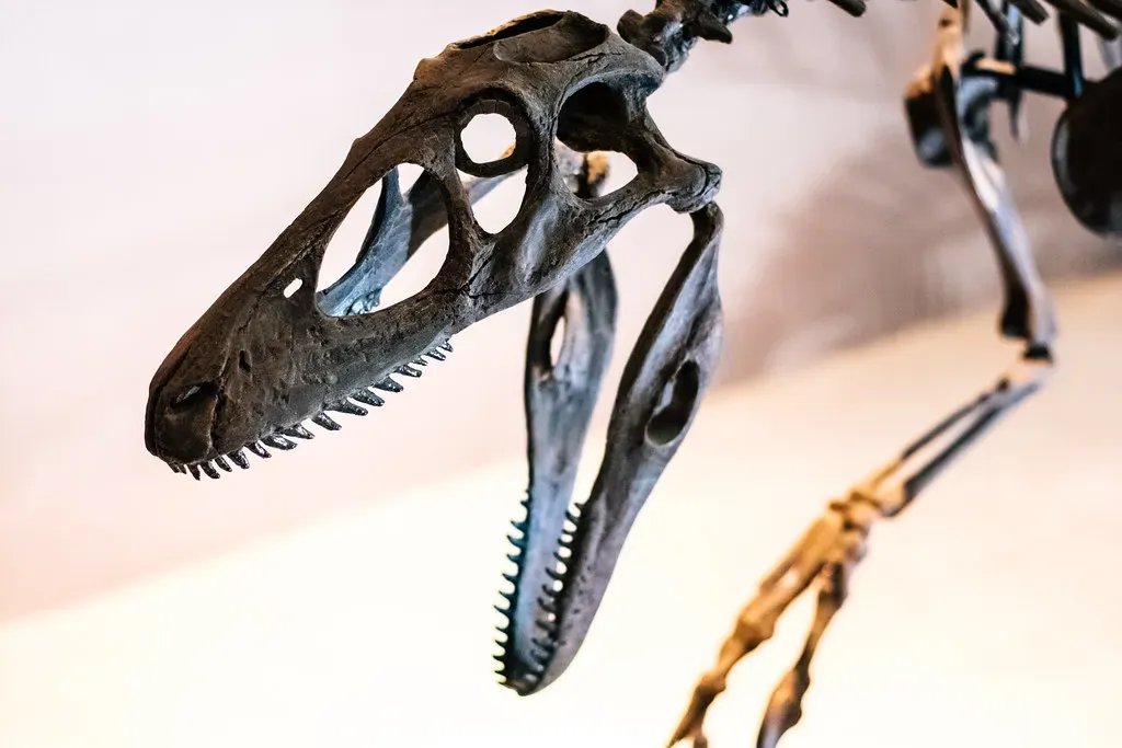 What Teeth Chemistry Reveals About Raptor Behavior (Ivan Radic, Flickr, CC BY 2.0)