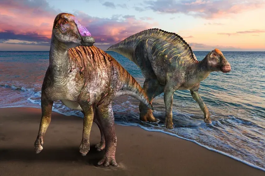 A Japanese Quarry Worker Rewrites Hadrosaur Migration History (Image Credits: Wikimedia)
