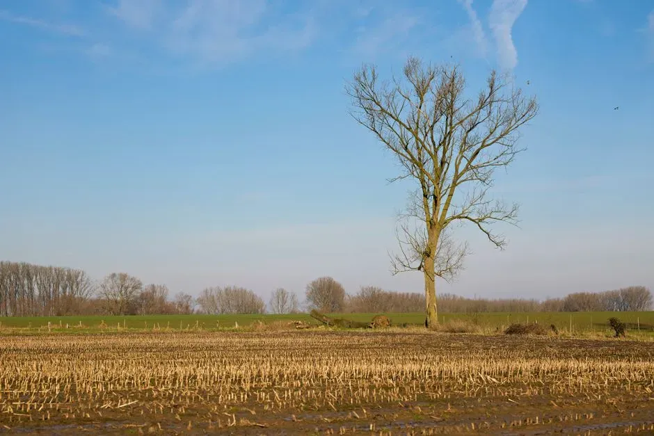 #13 - It Proved Topsoil Could Vanish Faster Than Anyone Believed Possible (Image Credits: Pexels)