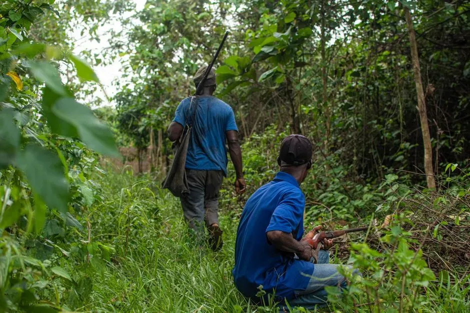 1. Complex Tracking Skills in Hunter‑Gatherer Societies Today (Image Credits: Pexels)