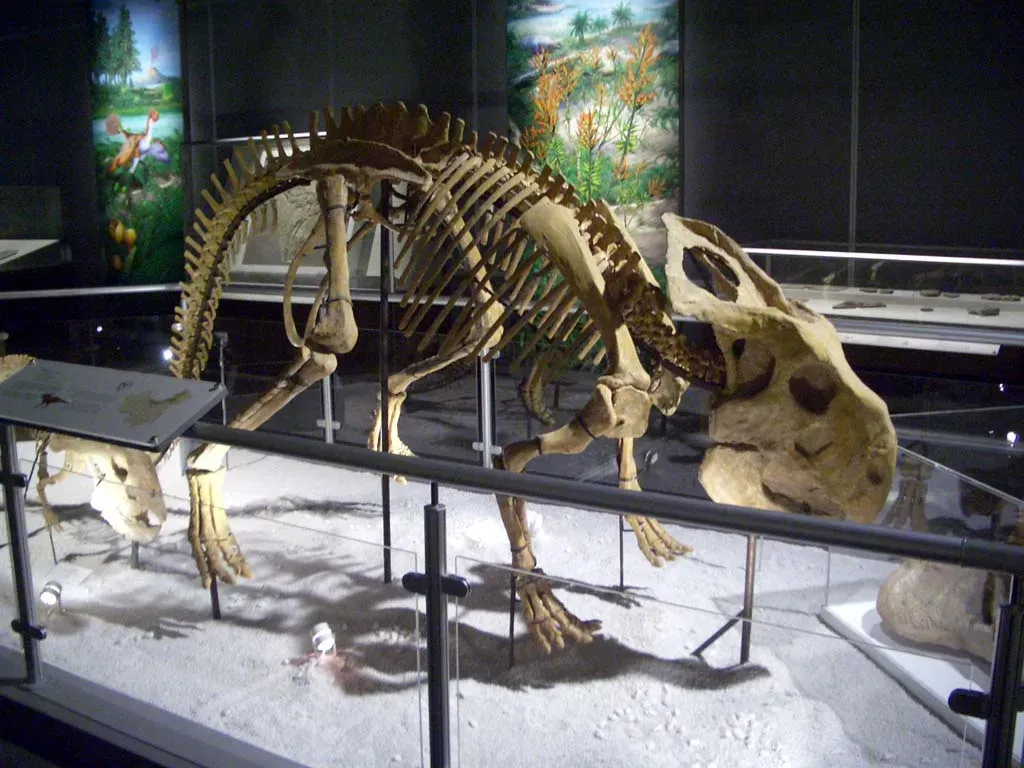 #4 - A Ten-Year-Old Caught What Curators Missed for Years (CC BY-SA 3.0)