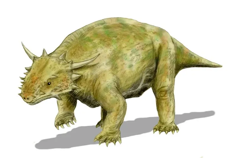 8. Scutosaurus: The Armored Tank of the Permian Landscape (Image Credits: Wikimedia)