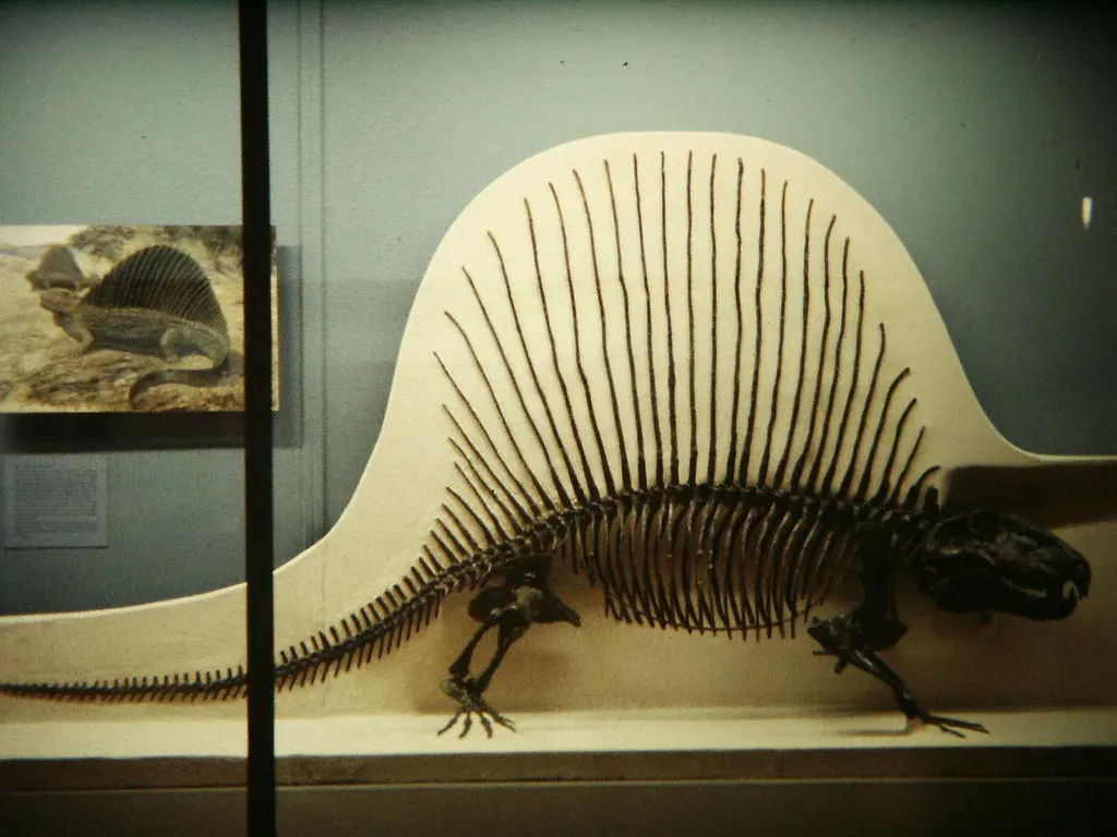 #8 - The Forgotten Aftershock of the Great Dying (Image Credits: Flickr)