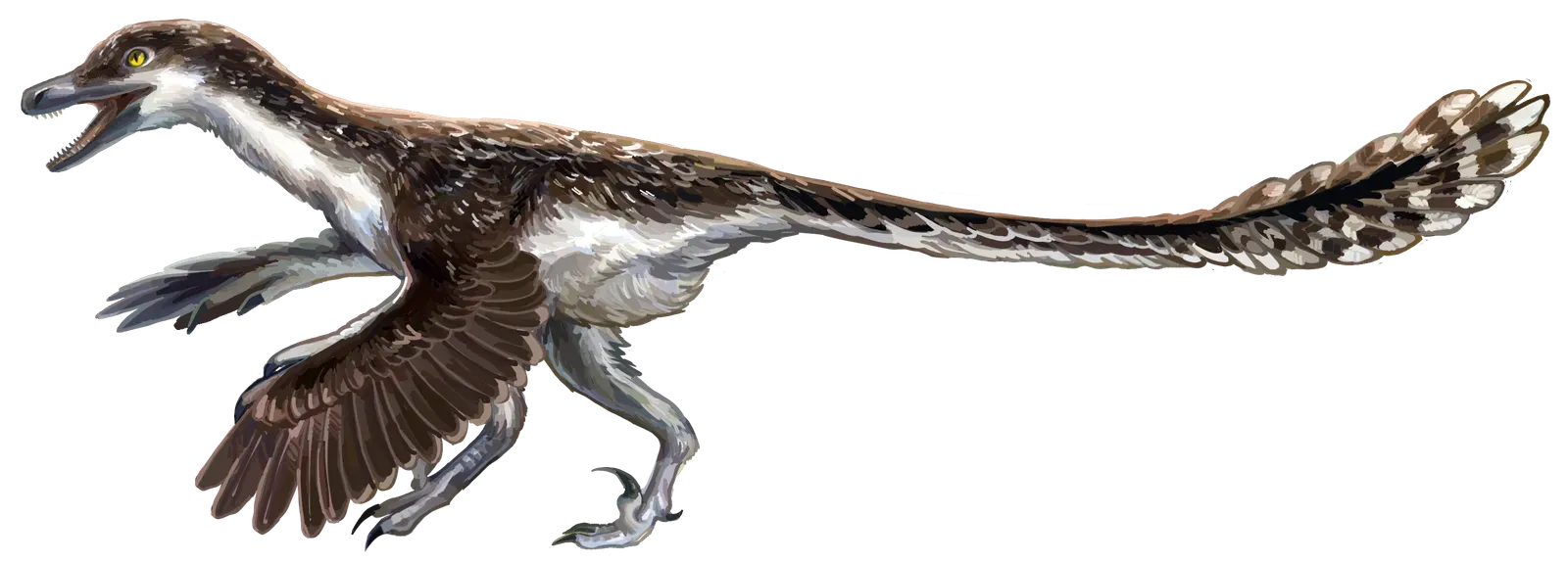 #3 – Some Scientists Think It Hunted After Dark (By Entelognathus, CC BY-SA 4.0)