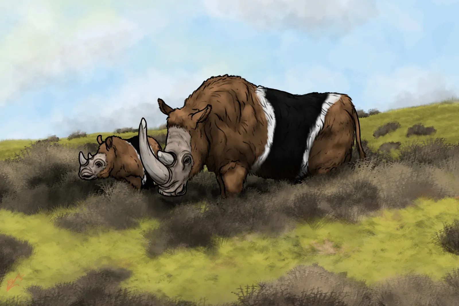 #10 - It Was a Simple Grass-Only Grazer (By Mr Langlois10, CC BY-SA 4.0)