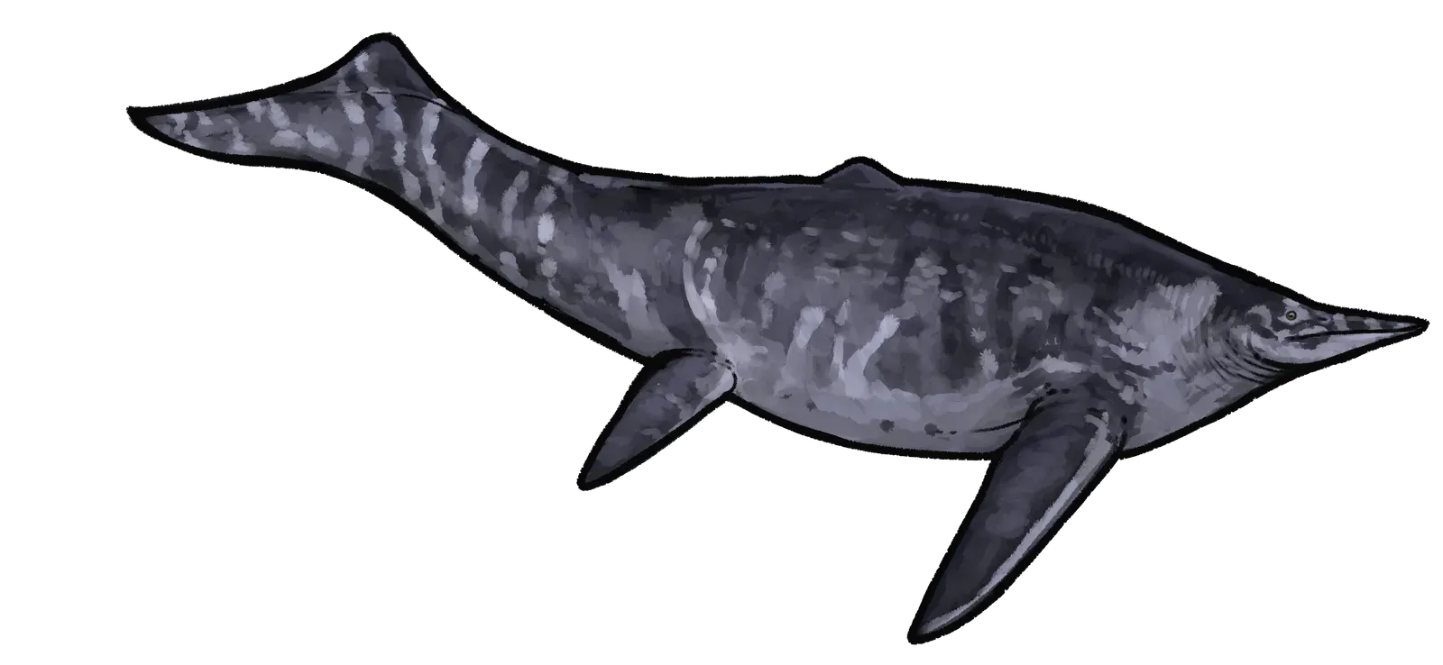 They Were Absolutely Massive (Image Credits: Wikimedia)