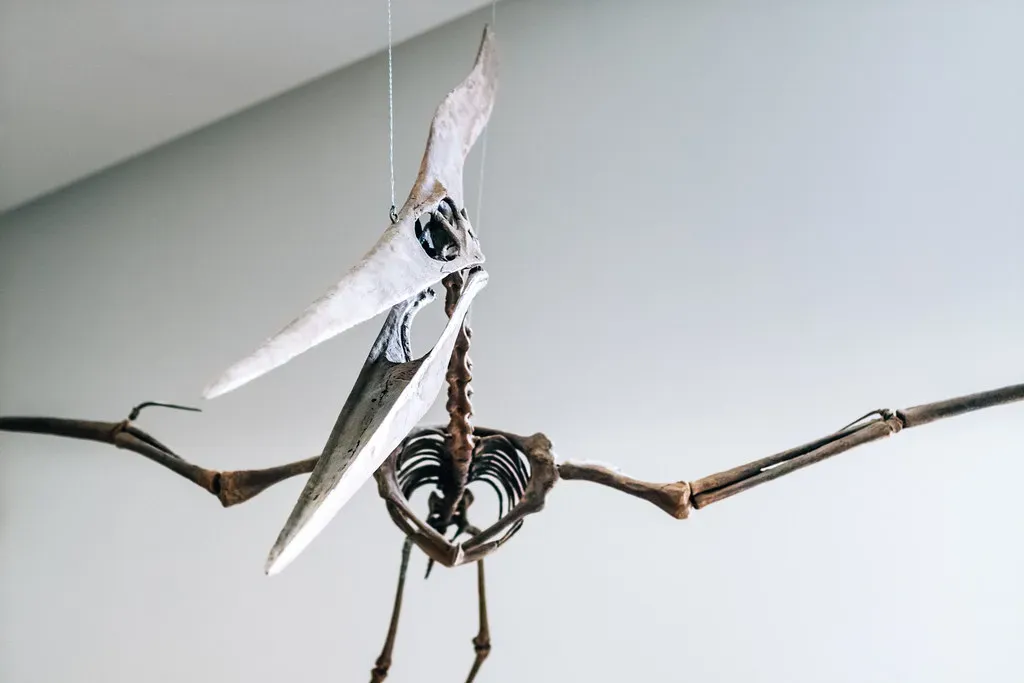 Conclusion: The Dinosaur Story Is Far From Over (Image Credits: Flickr)