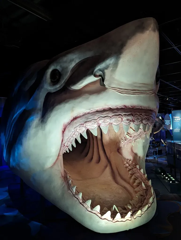 12. You’re Seeing How a Real Animal Became a Cultural Giant (edenpictures, Flickr, CC BY 2.0)