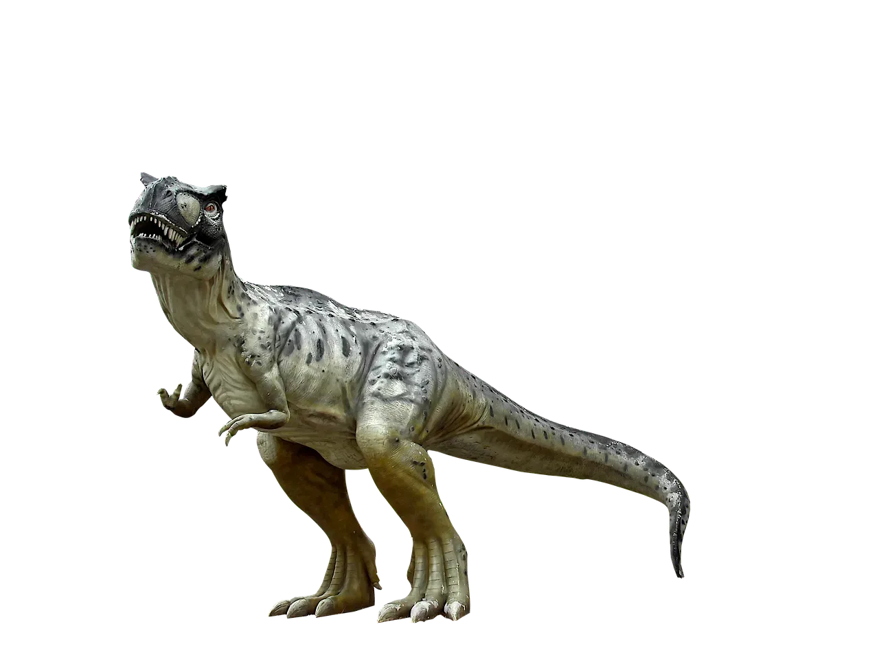 Conclusion (Image Credits: Pixabay)