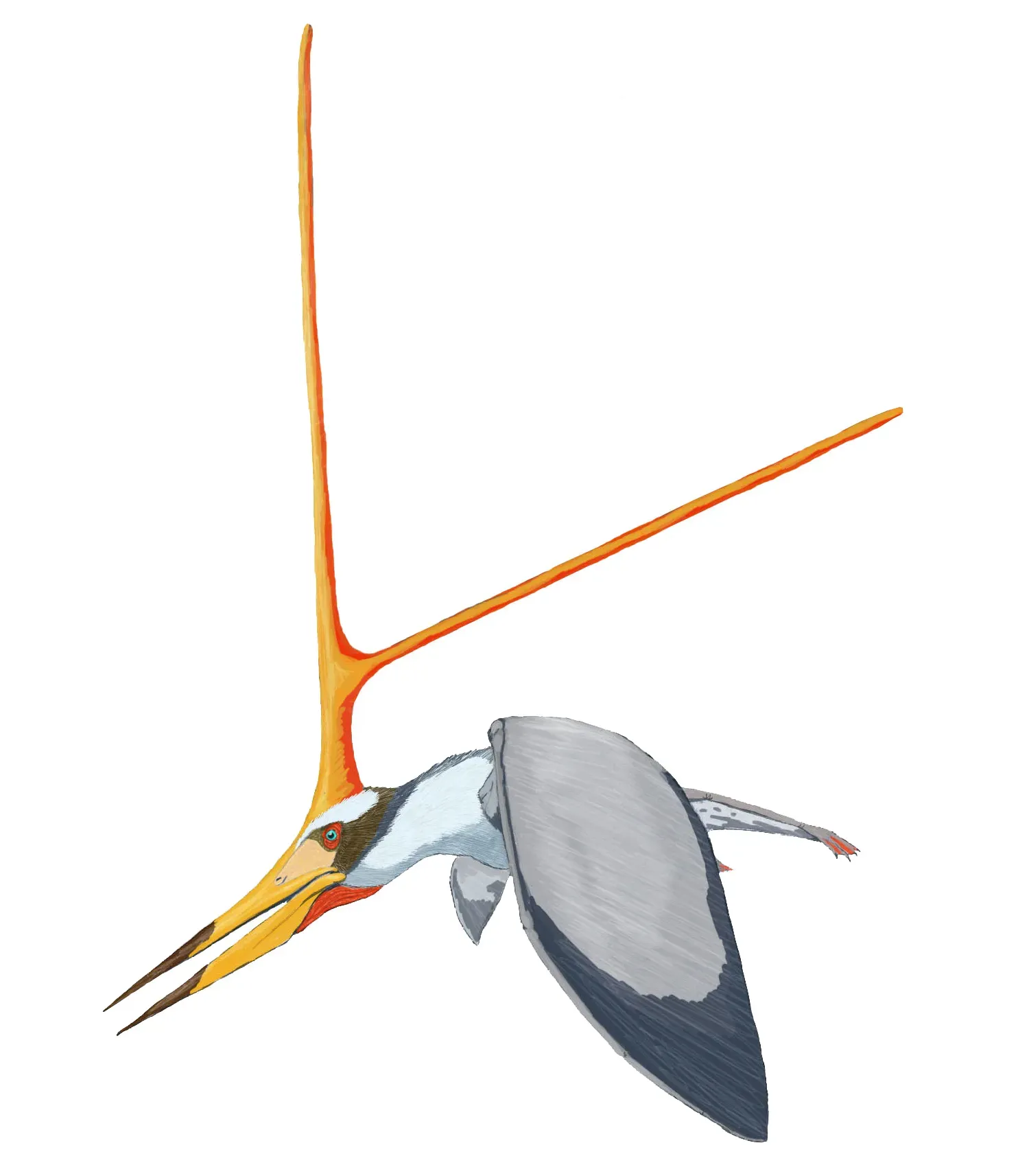 10. Nyctosaurus – The Minimalist Flier With an Outrageous Head Crest (dmitrchel@mail.ru, CC BY 3.0)