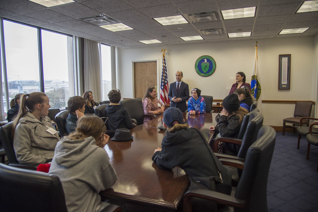 Gemini: The Information Survivor (Image Credits: Flickr)