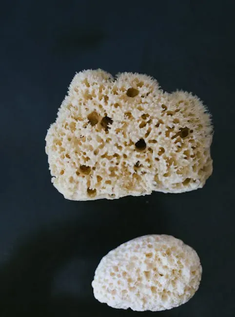 The Ancient Sponge That Claimed the Throne of Life's Origins (Image Credits: Pexels)