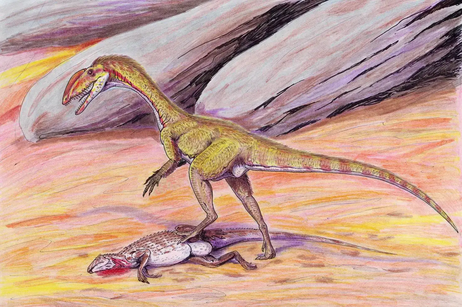 3. Some Dinosaurs Hunted in the Dark of Night (Image Credits: Wikimedia)