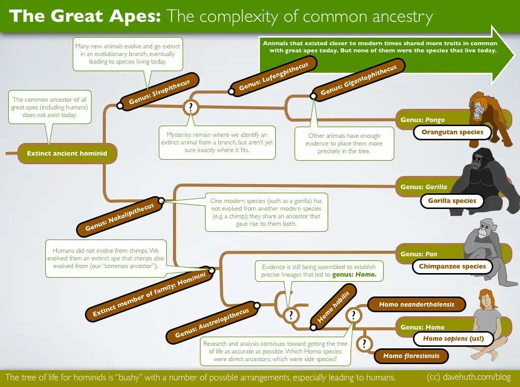 The Surprising Idea of a Universal Common Ancestor (DaveHuth, Flickr, CC BY 2.0)