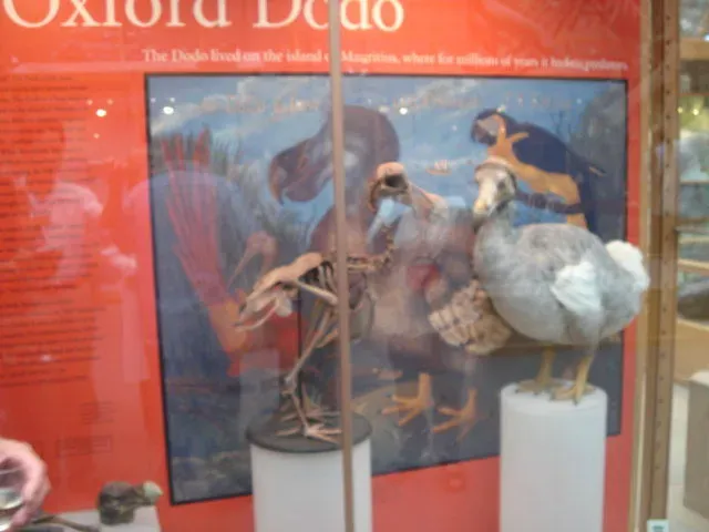 #18 - The Dodo's Confusing Paper Trail (TEDizen, Flickr, CC BY 2.0)