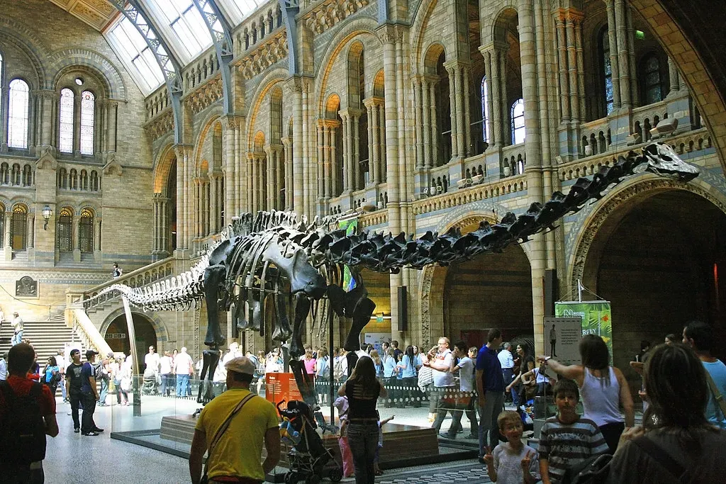 #15: Diplodocus "Dippy" And The Tail That Finally Came Off The Floor (Valdiney Pimenta, Flickr, CC BY 2.0)