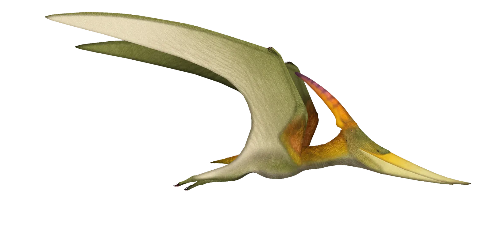 Just How Big Were They? The Numbers Will Stun You (By UnexpectedDinoLesson, CC BY 4.0)