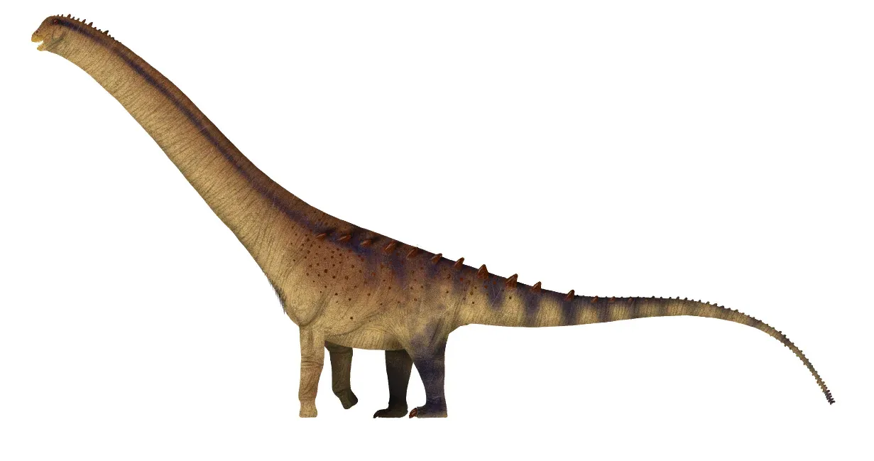 3. Patagotitan mayorum: The Colossus That Redefined 