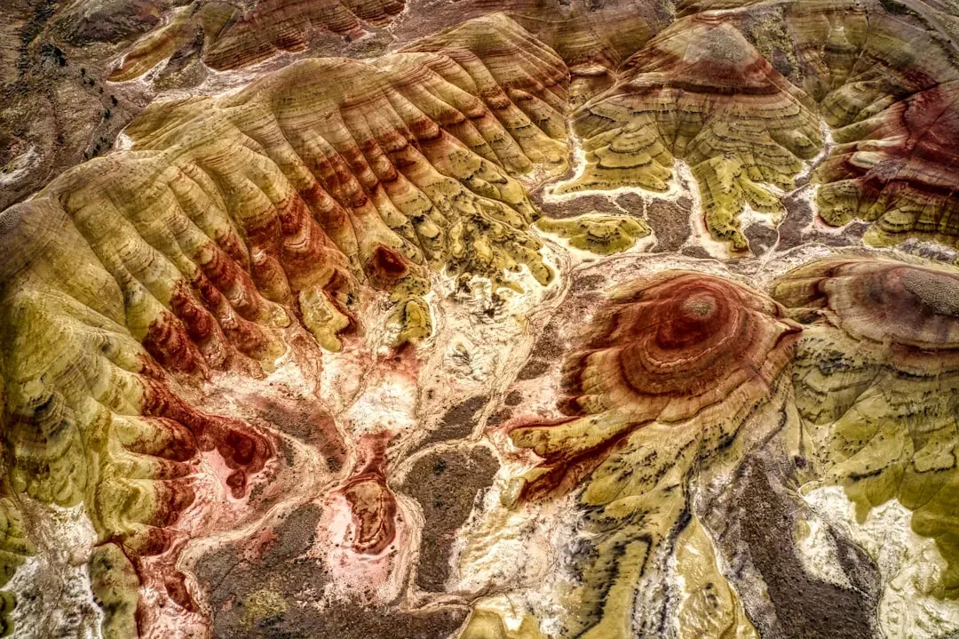 The Fossil Map Has a Massive Blind Spot (Image Credits: Unsplash)