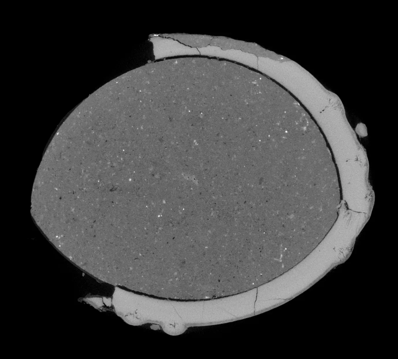 Pathologically Thin or Multi-Layered Shells: A Slow Reproductive Crisis (Dinosaur Eggshell #6, Public domain)