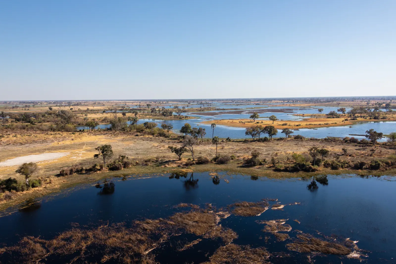 8. The Okavango Paleo‑Megafan: A Fossil Blueprint for a Living Delta (By Diego Delso, CC BY-SA 4.0)