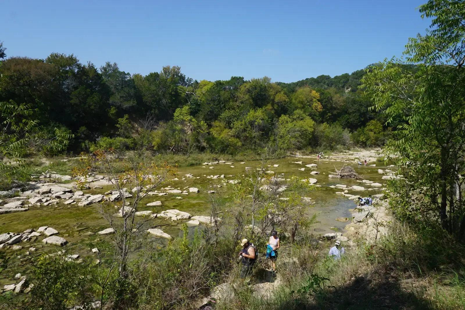 Dinosaur Valley State Park, Texas, USA: Where the River Reveals the Past (By Michael Barera, CC BY-SA 4.0)
