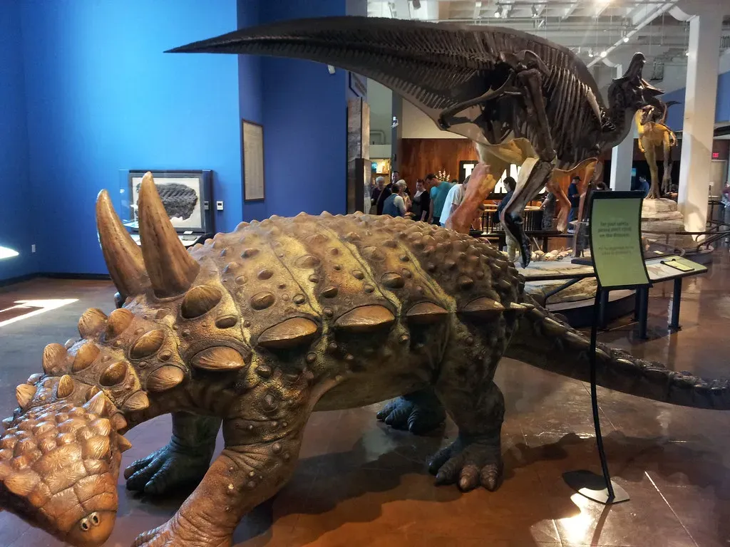 Built for Survival: Armor, Feathers, and Physical Defenses (Image Credits: Flickr)