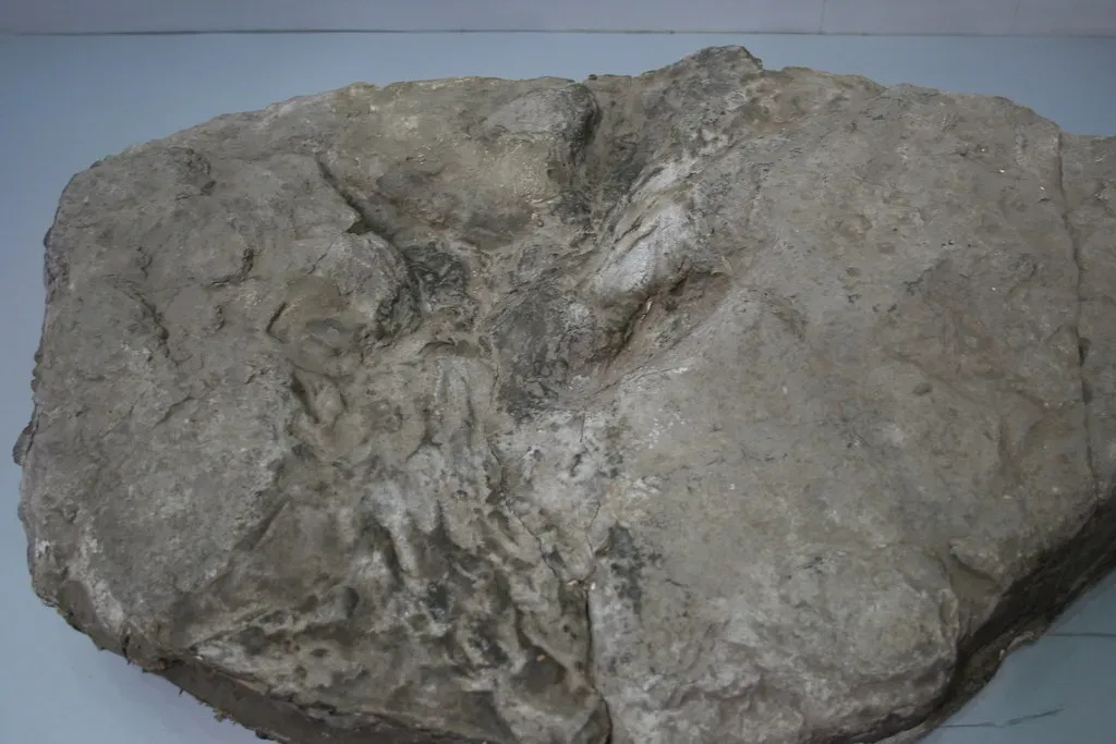 Conclusion: A Story Still Being Written (Image Credits: Flickr)