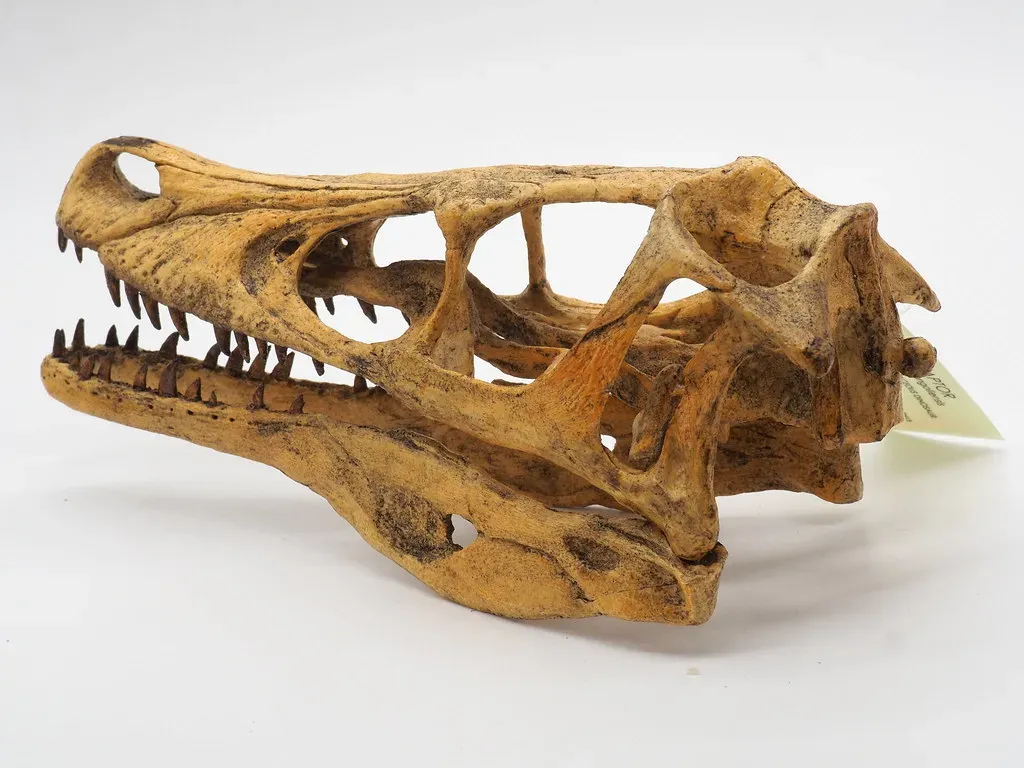 Getting Smarter Before Getting Airborne: The Brain Behind the Wings (Image Credits: Flickr)