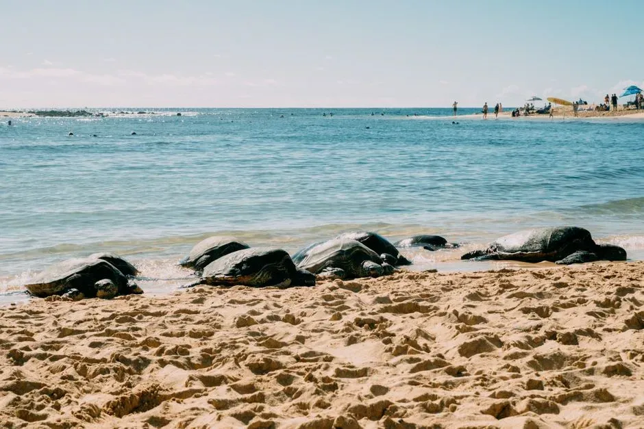 3. Sea Turtles Returning to the Exact Beach of Their Birth (Image Credits: Pexels)