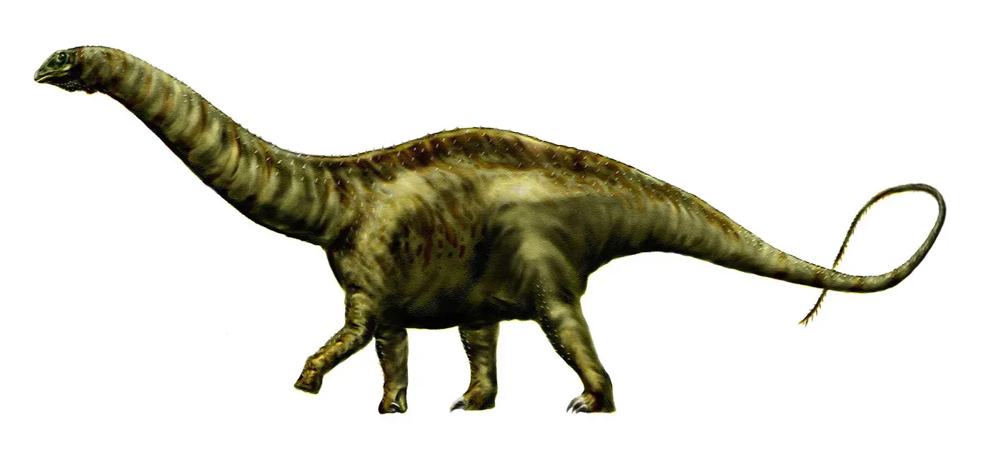 #4 - Apatosaurus (Brontosaurus): The Weight Guess That Needed a Modern Recalculation (By Durbed, CC BY-SA 3.0)