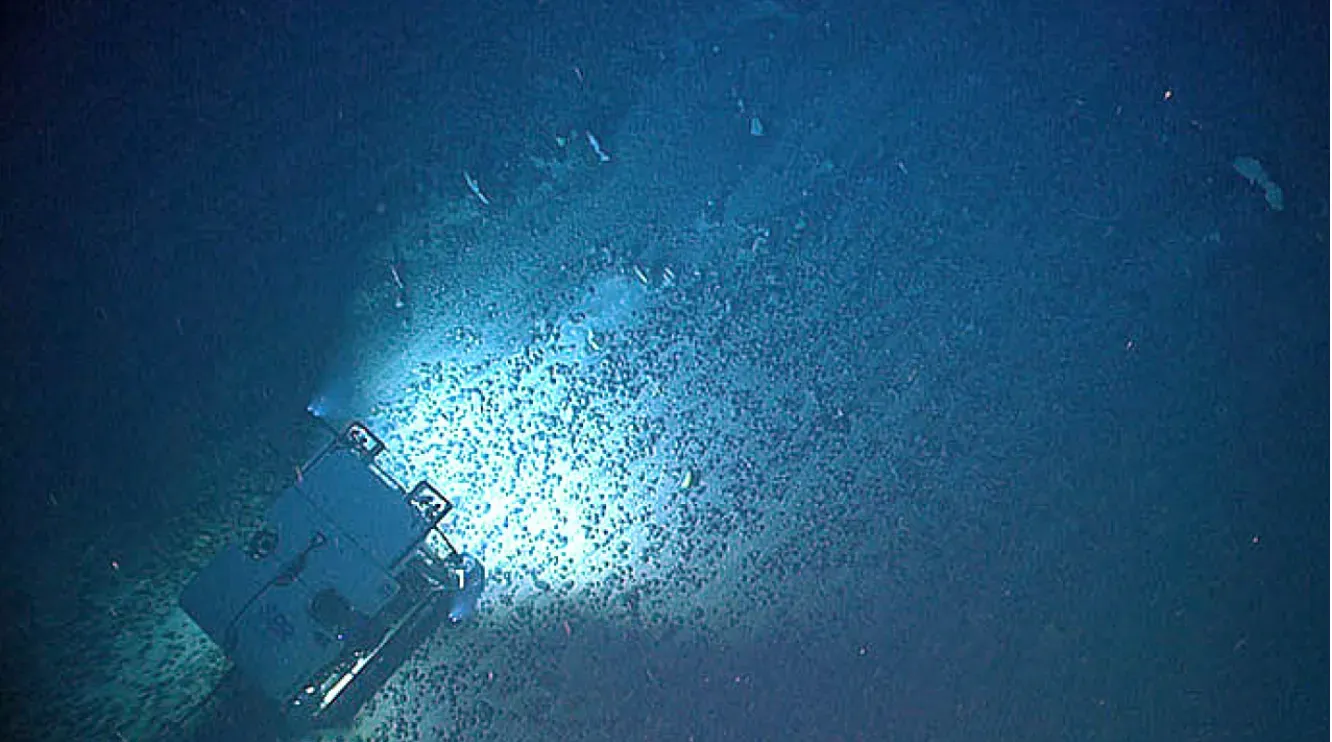 Why These Hidden Extinctions Matter for Our Future (By Unidentified NOAA photographer, Public domain)